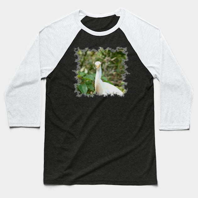 Cattle Egret Baseball T-Shirt by Nicole Gath Photography